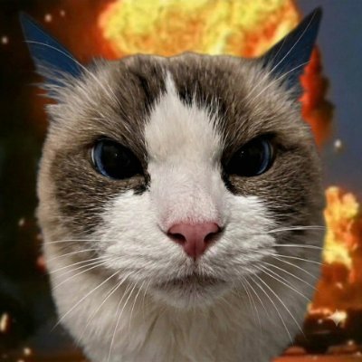 MrBoom