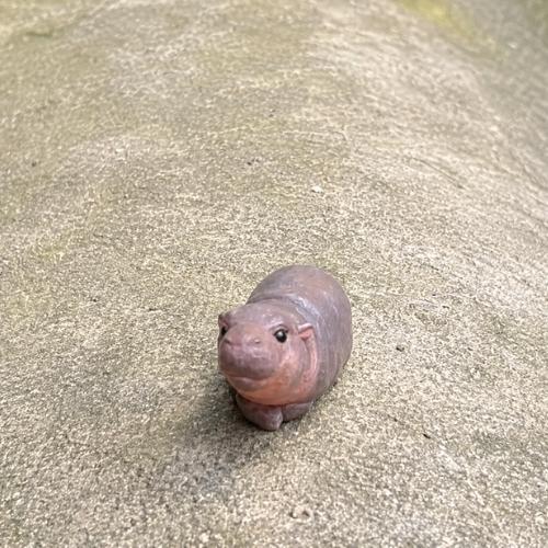 smol