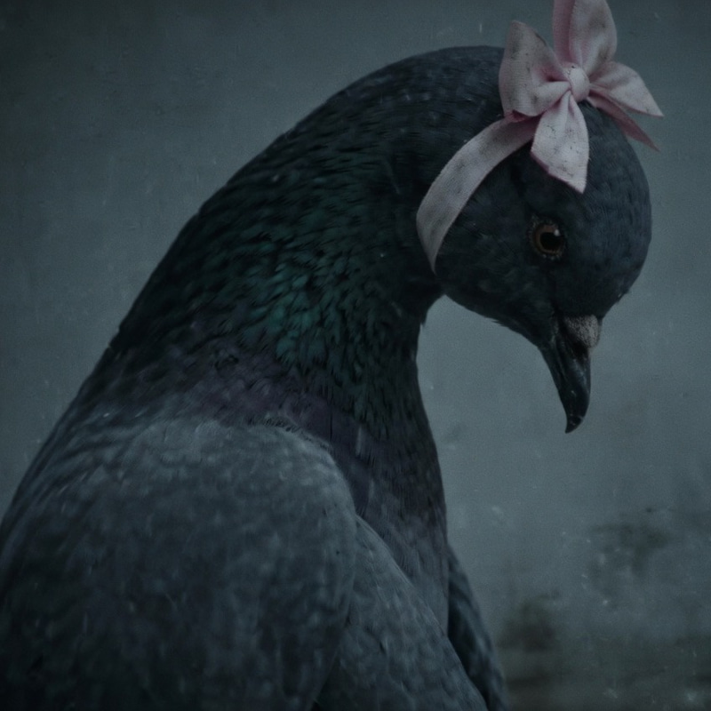 The Depressed Pigeon logo