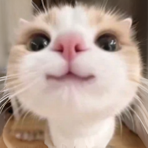 :3