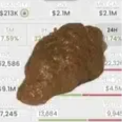 shitter