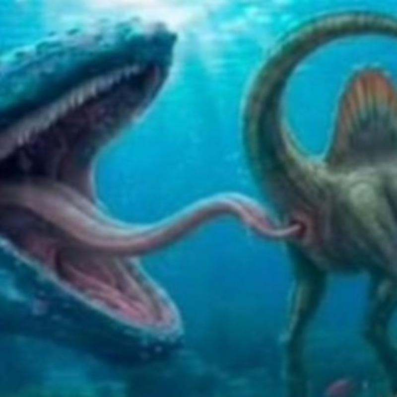 MOSASAURUS