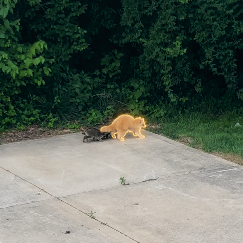 The Golden Raccoon logo