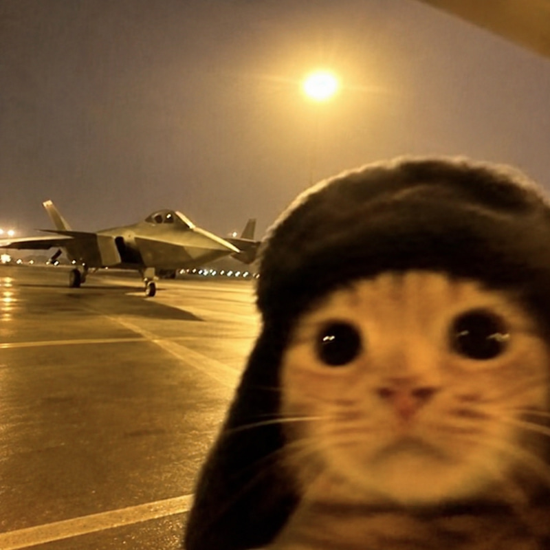 SELFIE