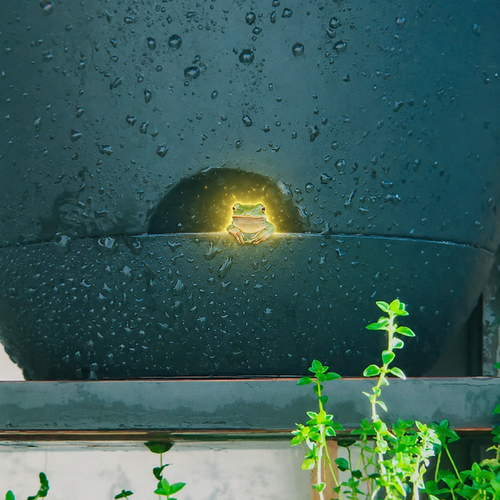 The Chilling Frog logo