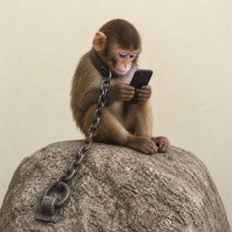 apeonchain