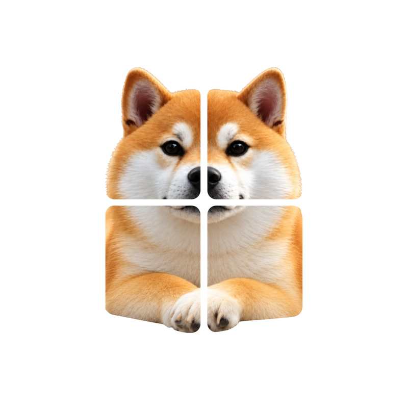 Inudex logo
