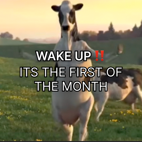 fotm
