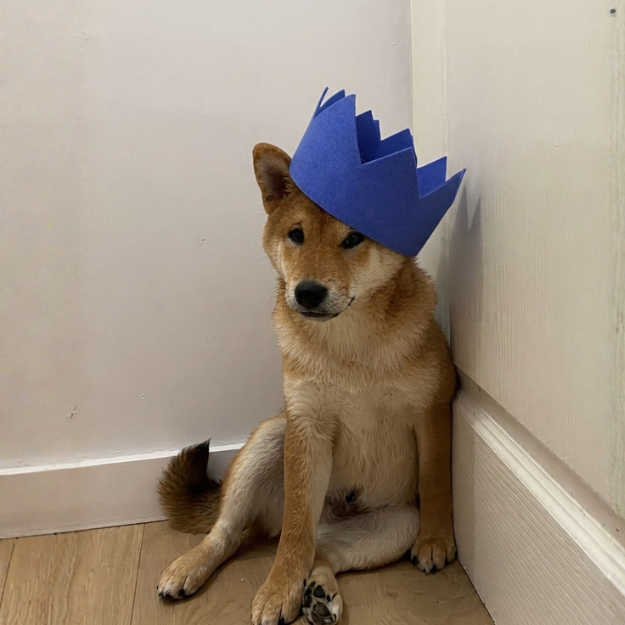 PARTYHAT