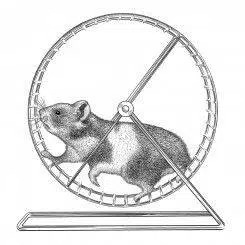 HAMSTER