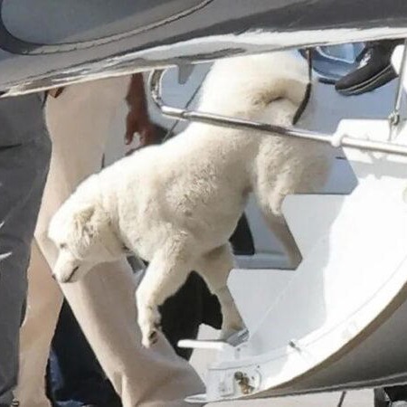 Casper