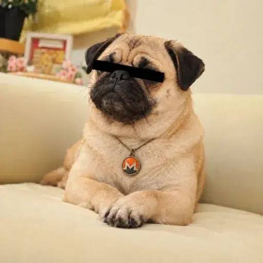 DogeI2P
