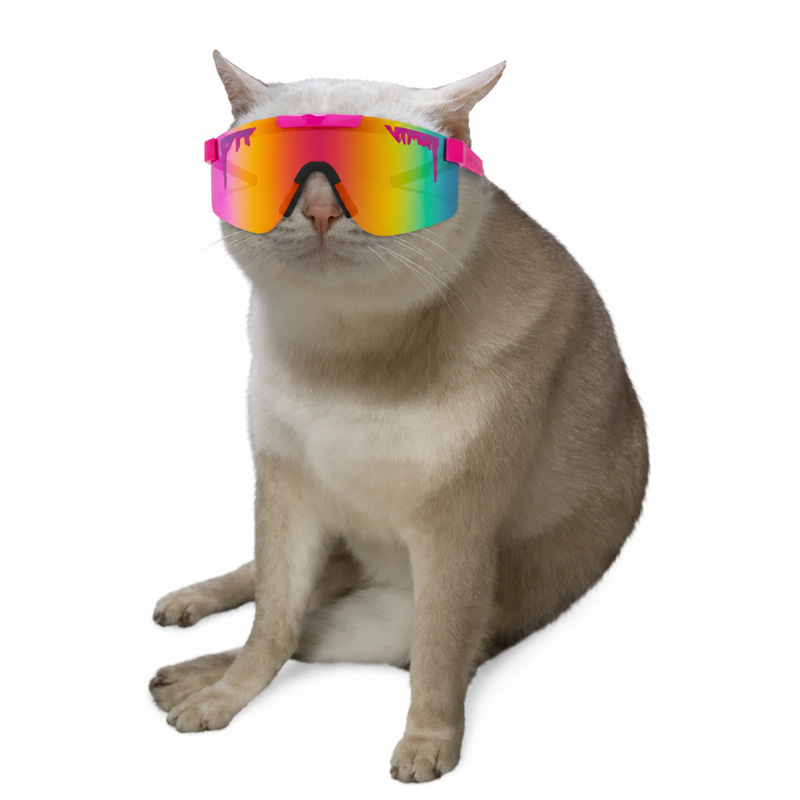 mogcash