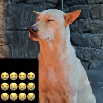IGNORE