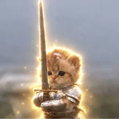 swordcat