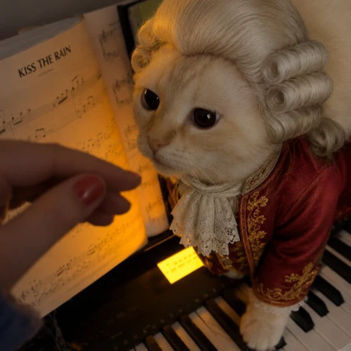 Meowzart