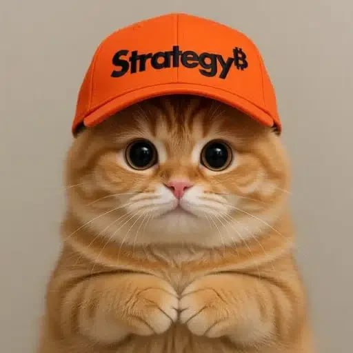 Strategy Cat logo