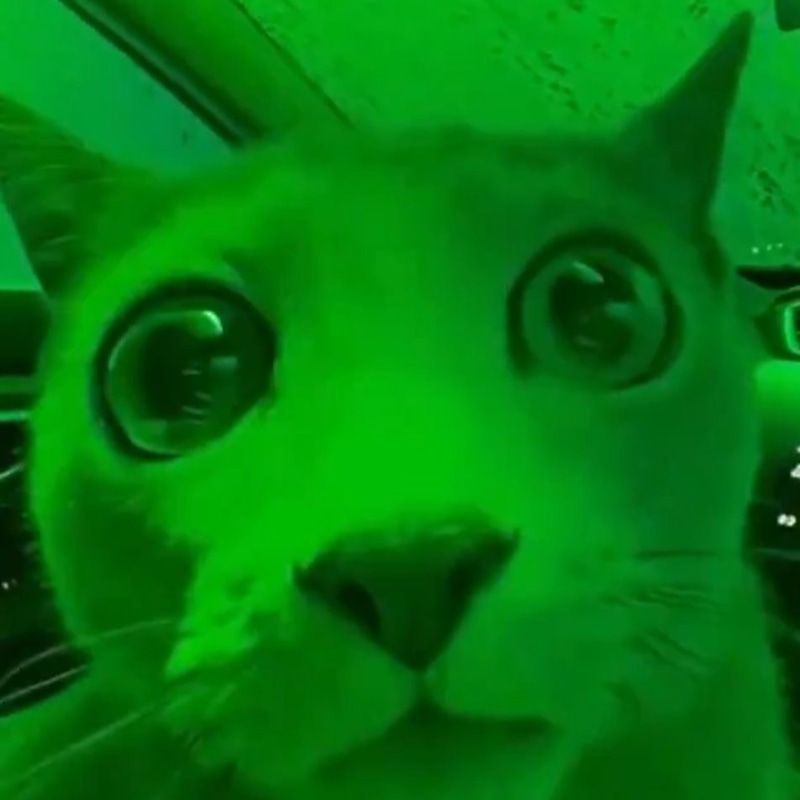 shocked
