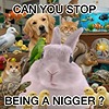 RACIST