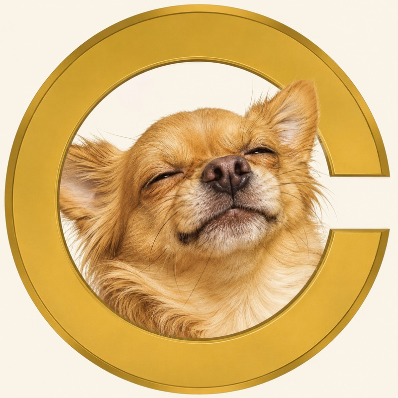 DOGECOIN