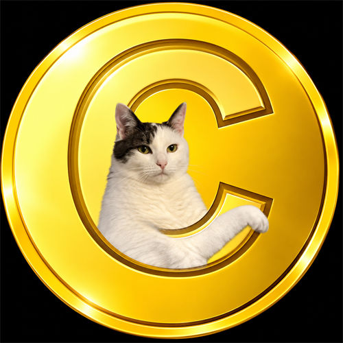 DANCINGCATE