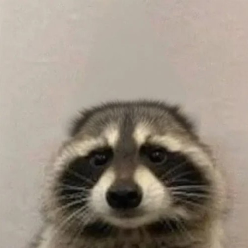Coon logo