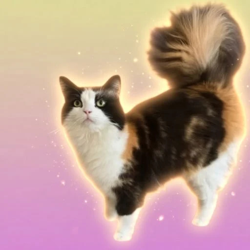 The Anti Ai Cat logo