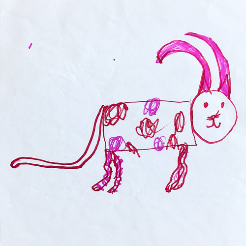 cat bull
