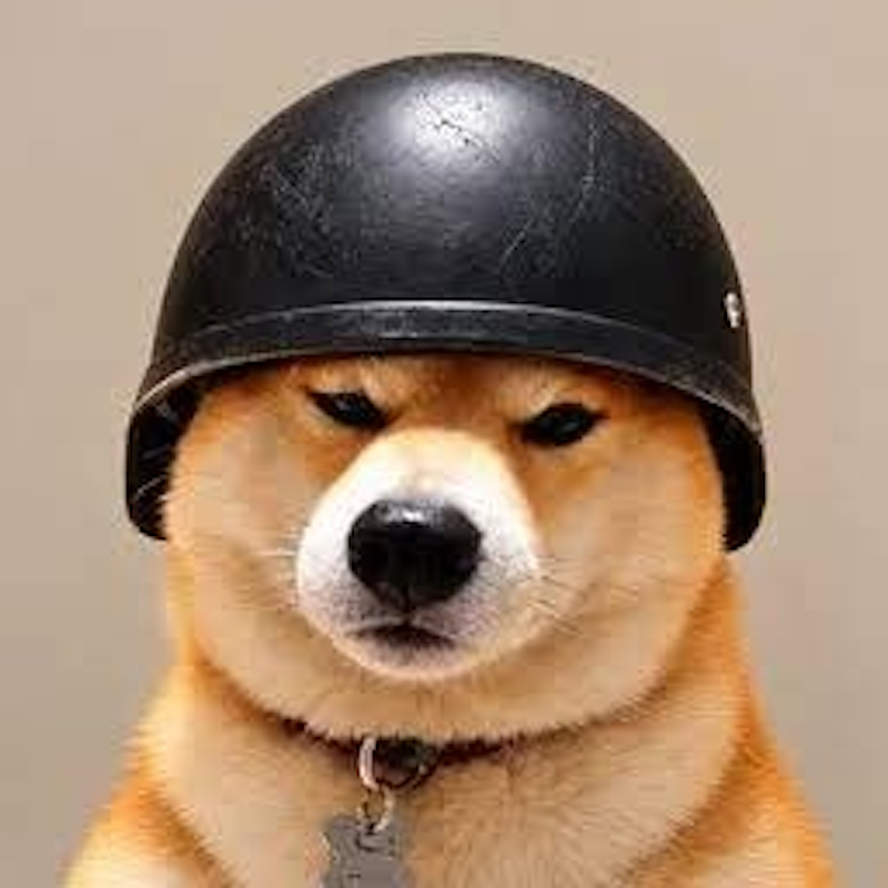 Dogwifhelmet logo