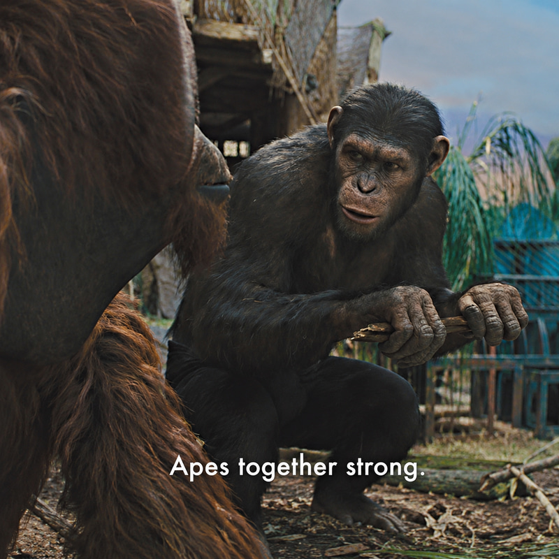 Apestrong