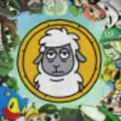 sheep