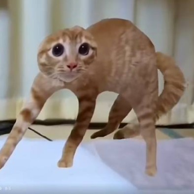Scared Cat logo