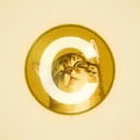 Just Buy $1 Worth Of This CATE logo