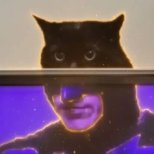 BATCAT