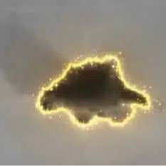 DINOSAUR