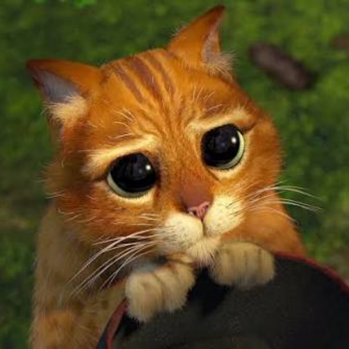 PUSS