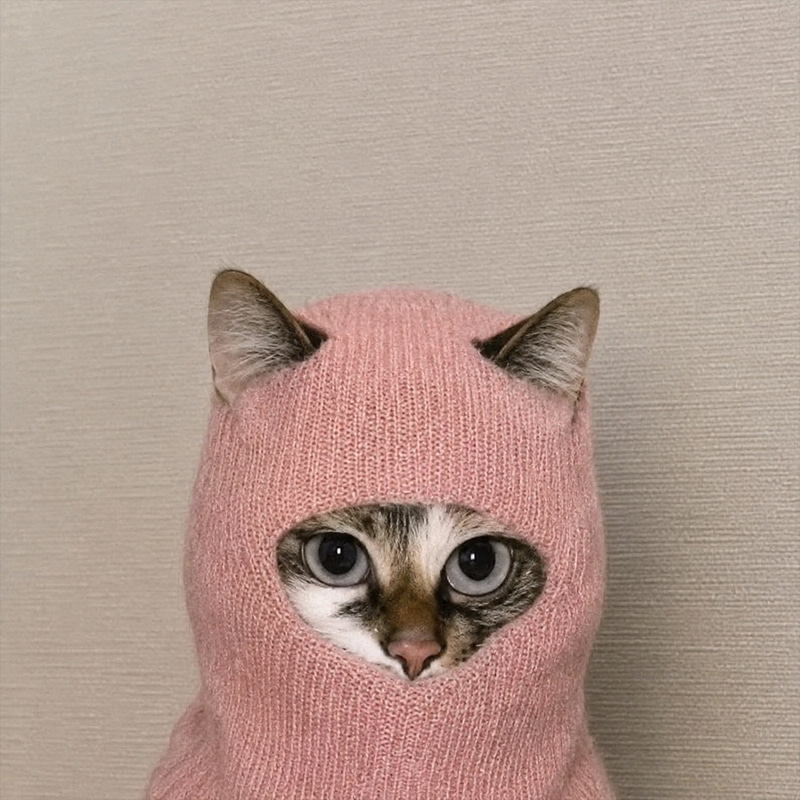 ROB