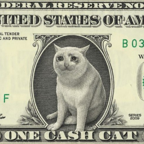 CATDOLLAR