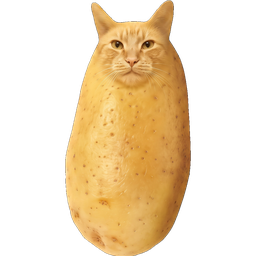 Potatoecat logo