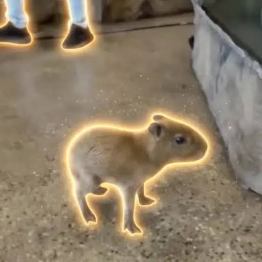 BB