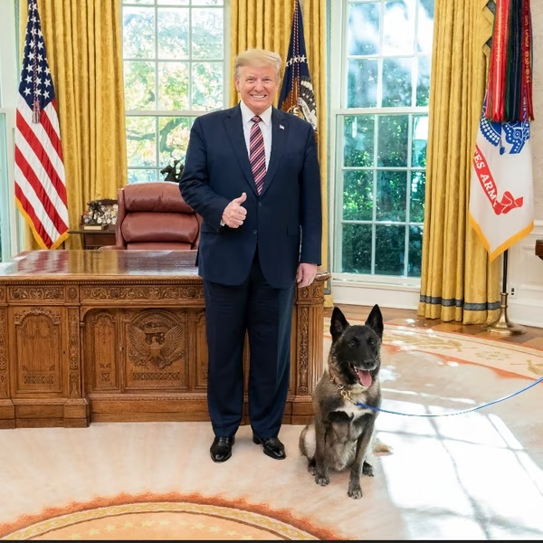 First Trump Doggy logo