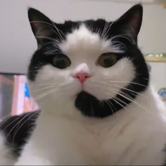 Call Cat logo