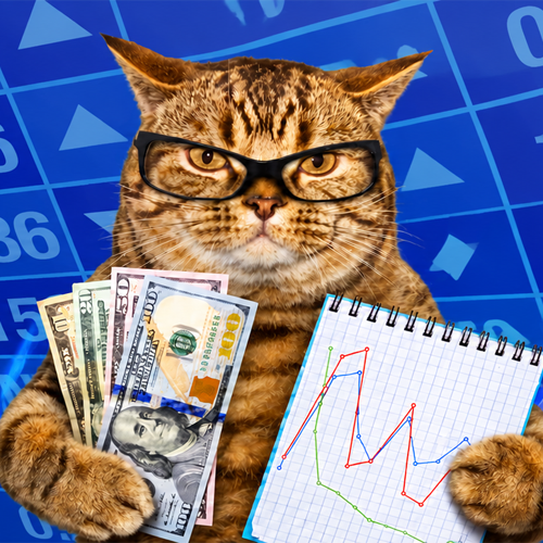 Quantcat logo