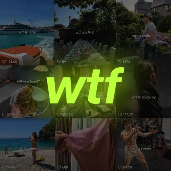 Wtf Is... logo