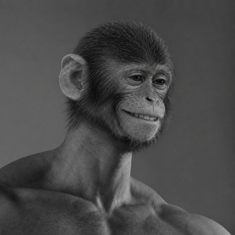 ApeChad