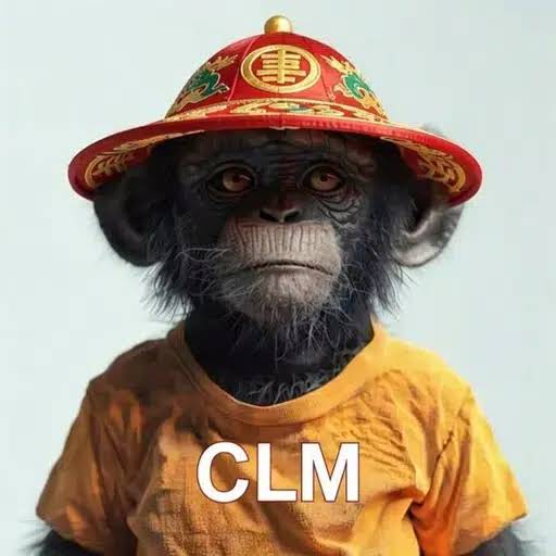 CLM