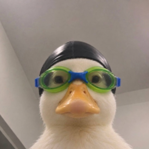 swimduck 