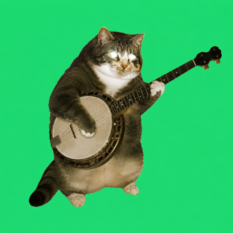 BanjoCat