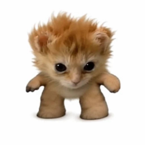 smol