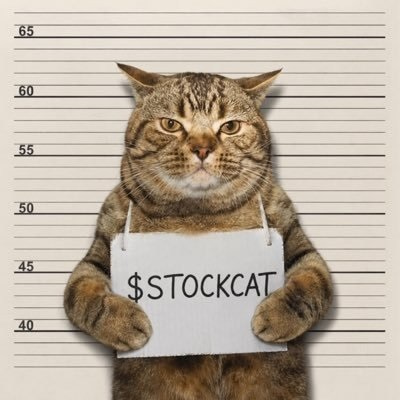 STOCKCAT